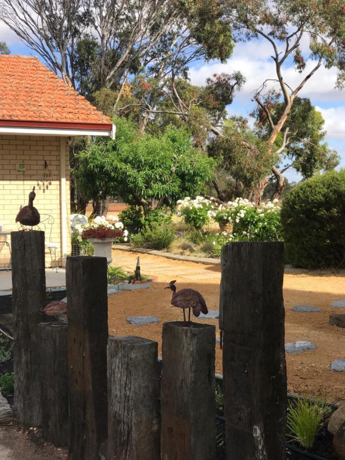 Yellow Gum Bed And Breakfast Katanning Екстер'єр фото