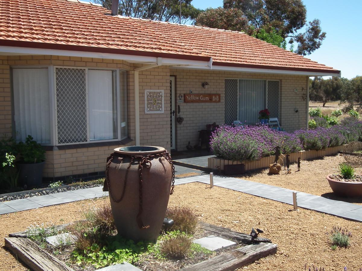 Yellow Gum Bed And Breakfast Katanning Екстер'єр фото