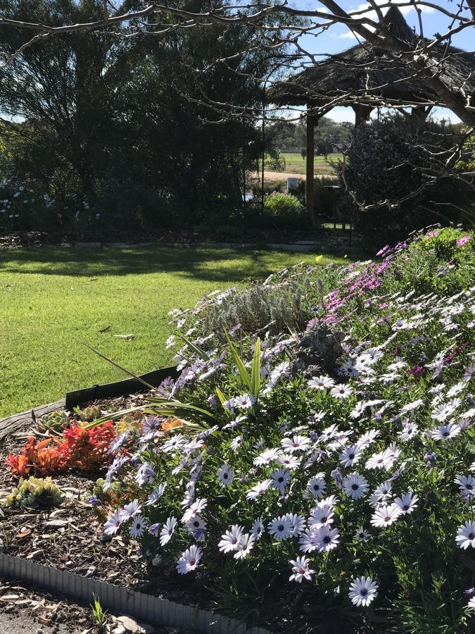 Yellow Gum Bed And Breakfast Katanning Екстер'єр фото